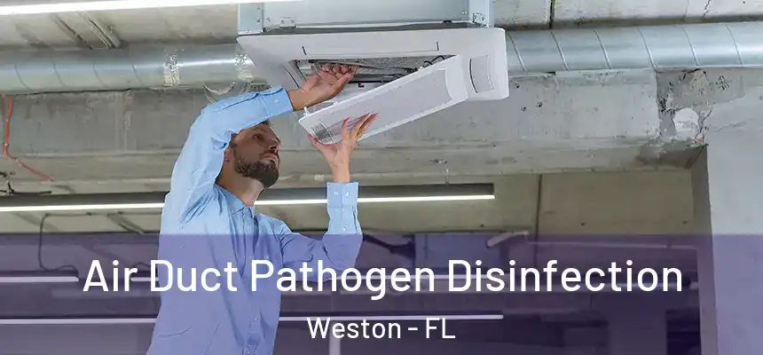 Air Duct Pathogen Disinfection Weston - FL