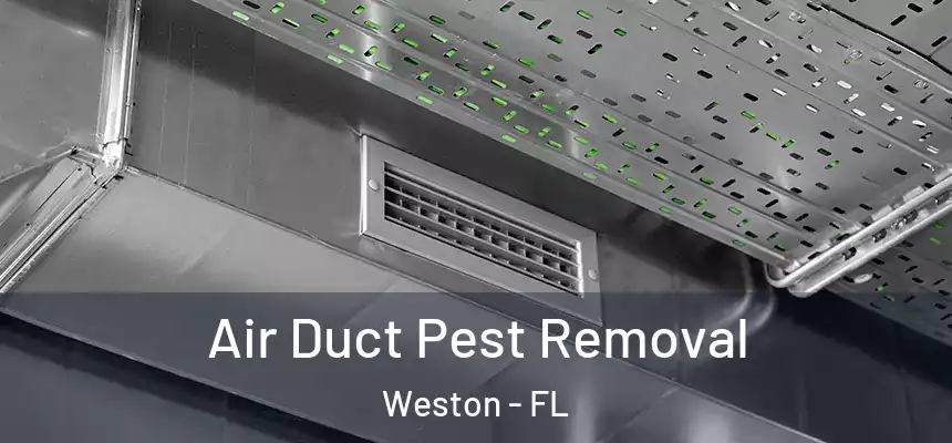 Air Duct Pest Removal Weston - FL