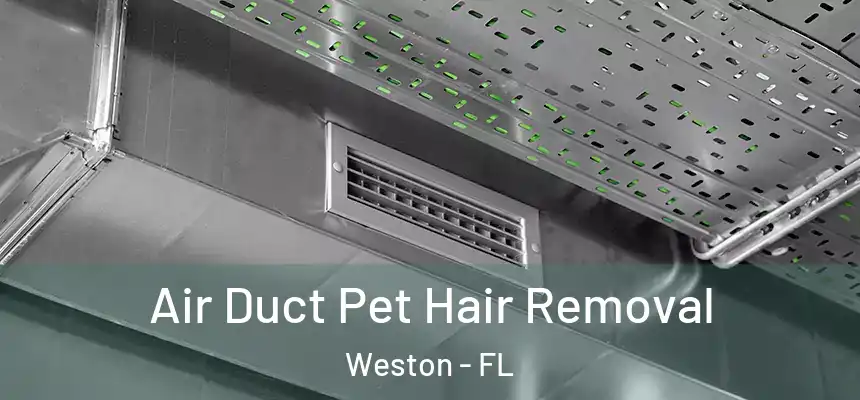 Air Duct Pet Hair Removal Weston - FL