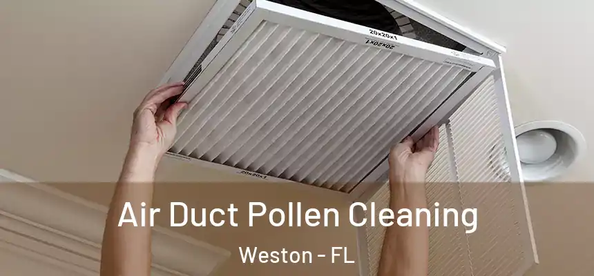 Air Duct Pollen Cleaning Weston - FL