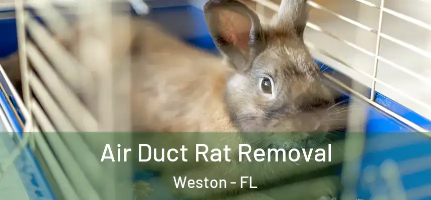 Air Duct Rat Removal Weston - FL