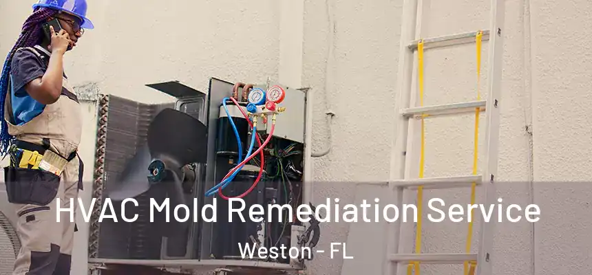 HVAC Mold Remediation Service Weston - FL