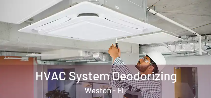 HVAC System Deodorizing Weston - FL