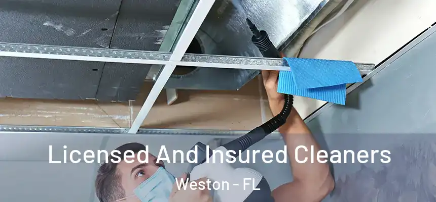 Licensed And Insured Cleaners Weston - FL