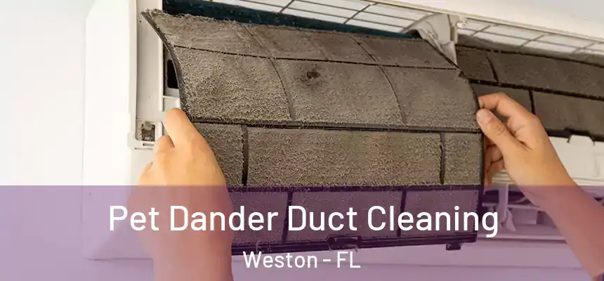 Pet Dander Duct Cleaning Weston - FL