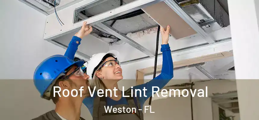 Roof Vent Lint Removal Weston - FL