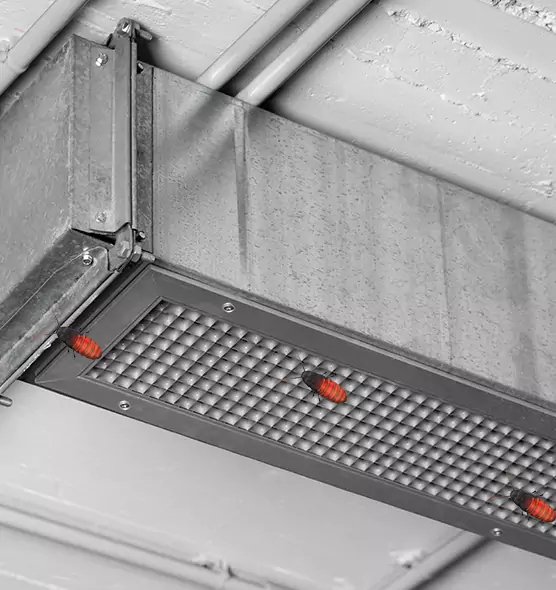 Affordable Insect Removal from Air Ducts in Weston, FL