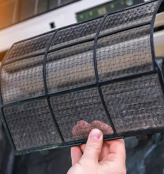 About Pet Dander Duct Cleaning in Weston, FL